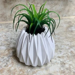 Potted Faux Succulent